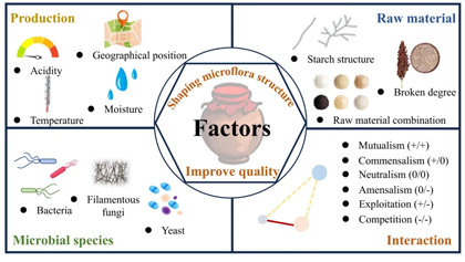 玩彩网·「中国区」官方网站
